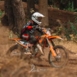 mx-biest-houtakker-85cc-25