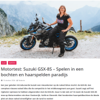 review_suzuki_gsxs8s_motormeiden